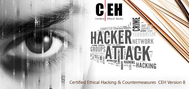 Cyber Security Ethical Hacking Courses Pune Airport
